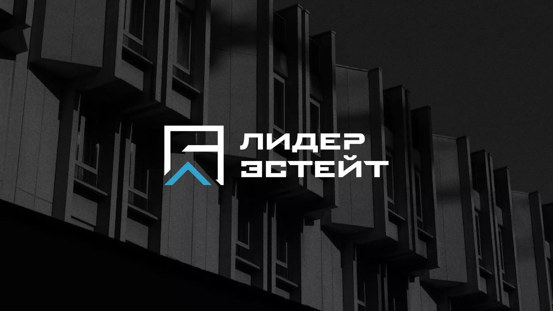 Разработка логотипа агентства недвижимости «Лидер Эстейт» в Пудоже